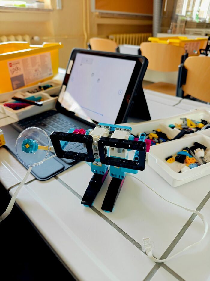 Bild-d-W19032026 Bild-d-W19032026